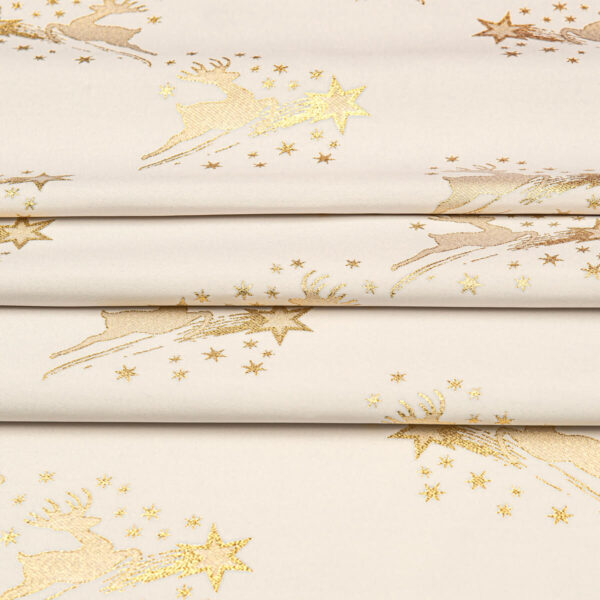 STARRY SKY