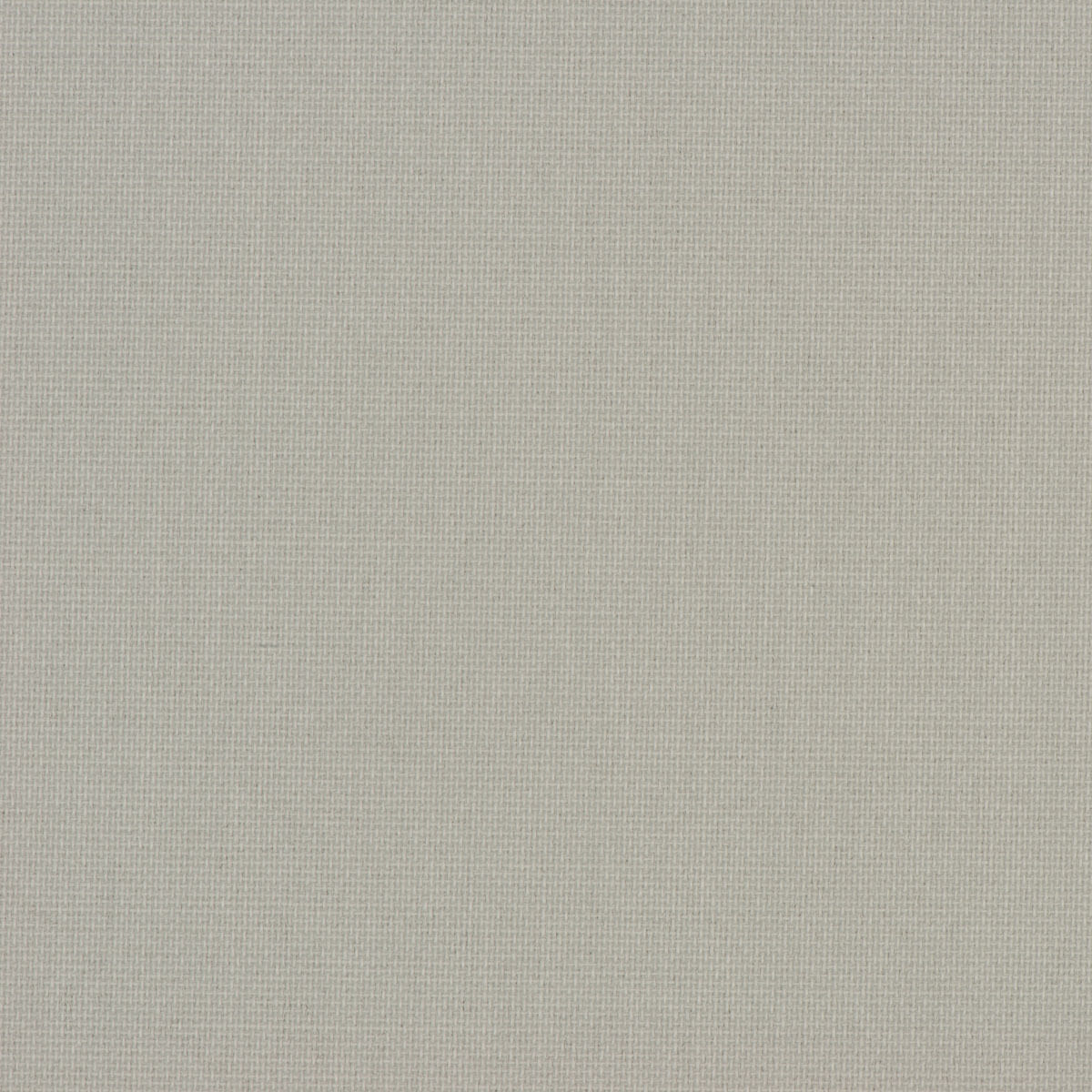 CARED / 206601 SZ/K/O / kolor 002 - obrazek 3