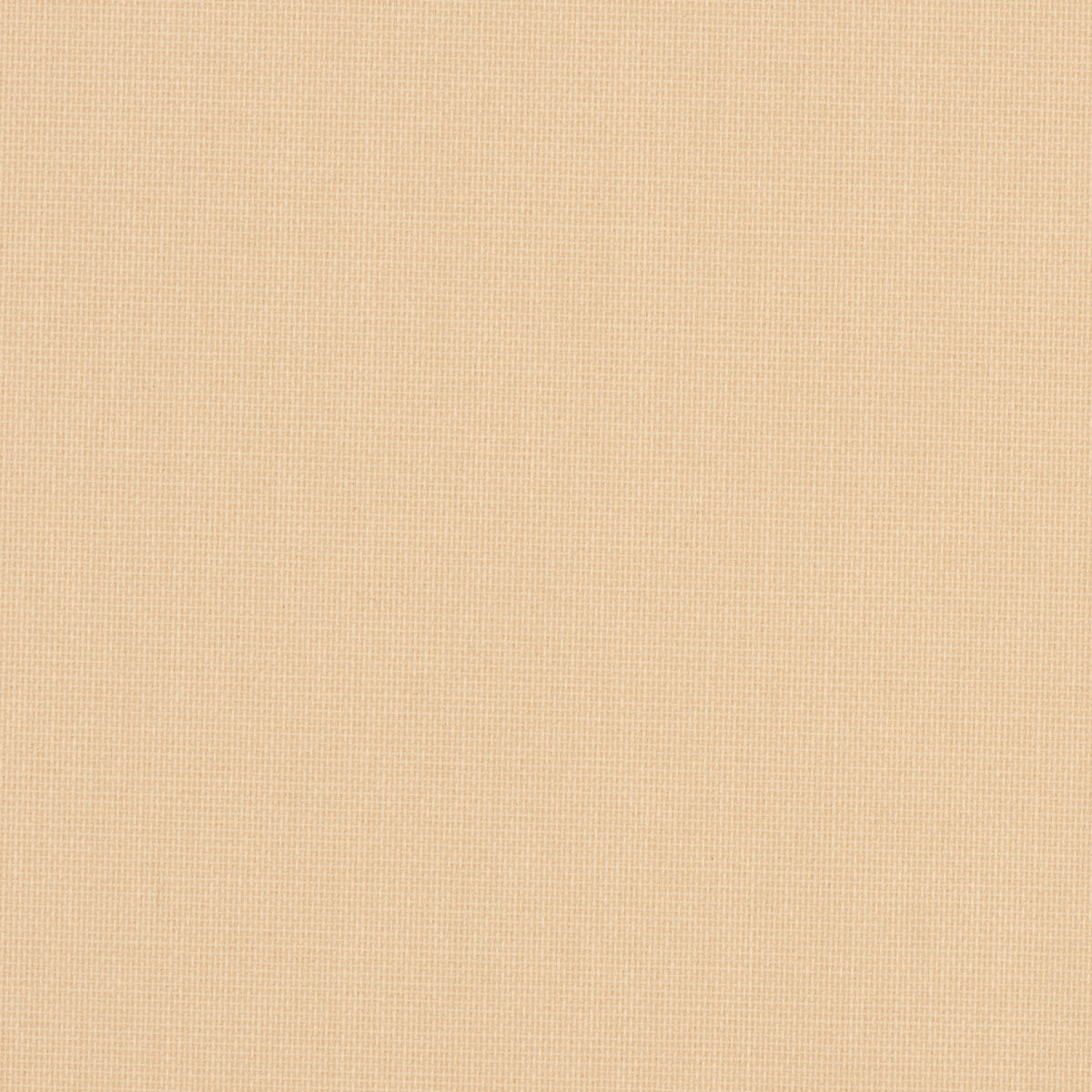 CARED / 206601 SZ/K/O / kolor 006 - obrazek 3