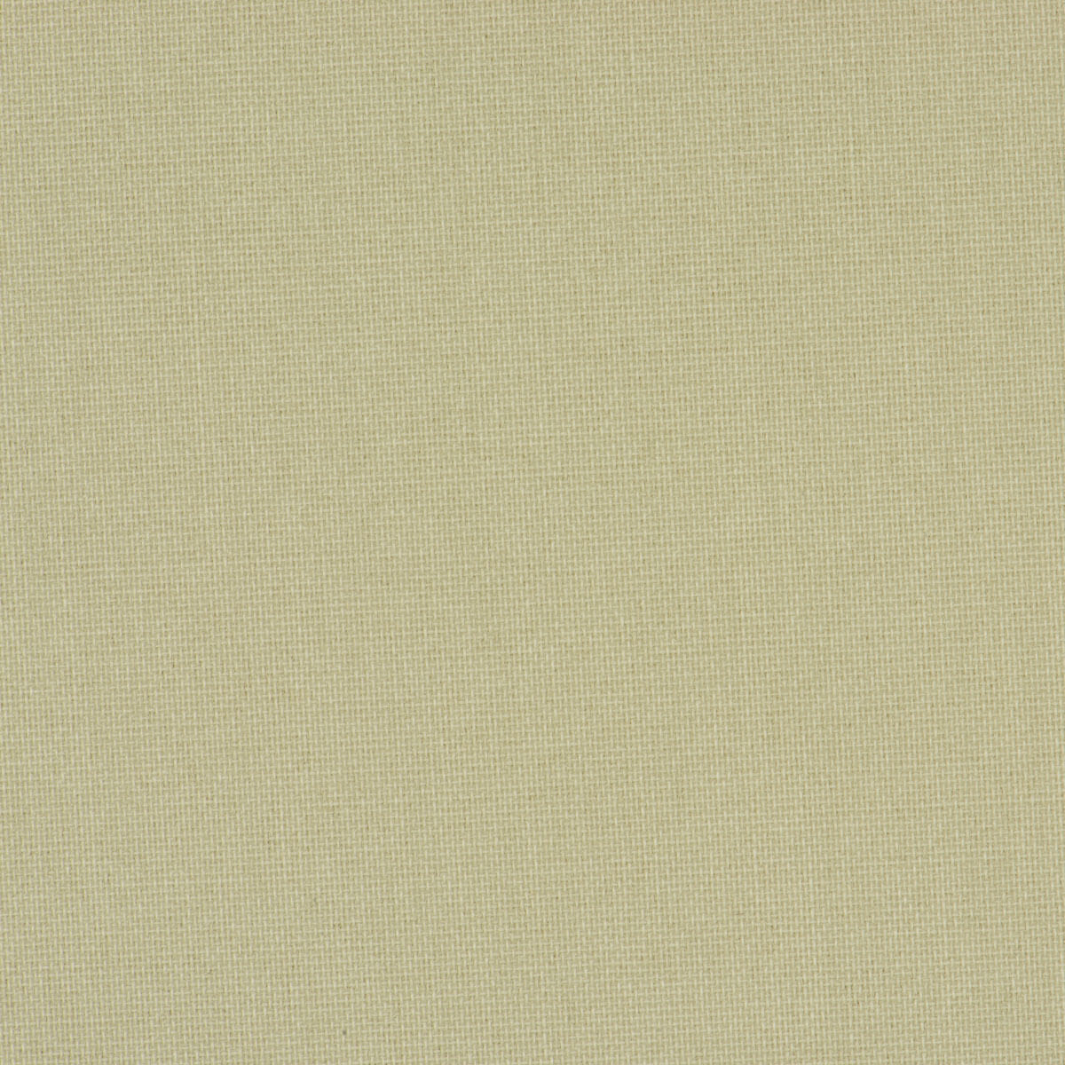 CARED / 206601 SZ/K/O / kolor 007 - obrazek 3