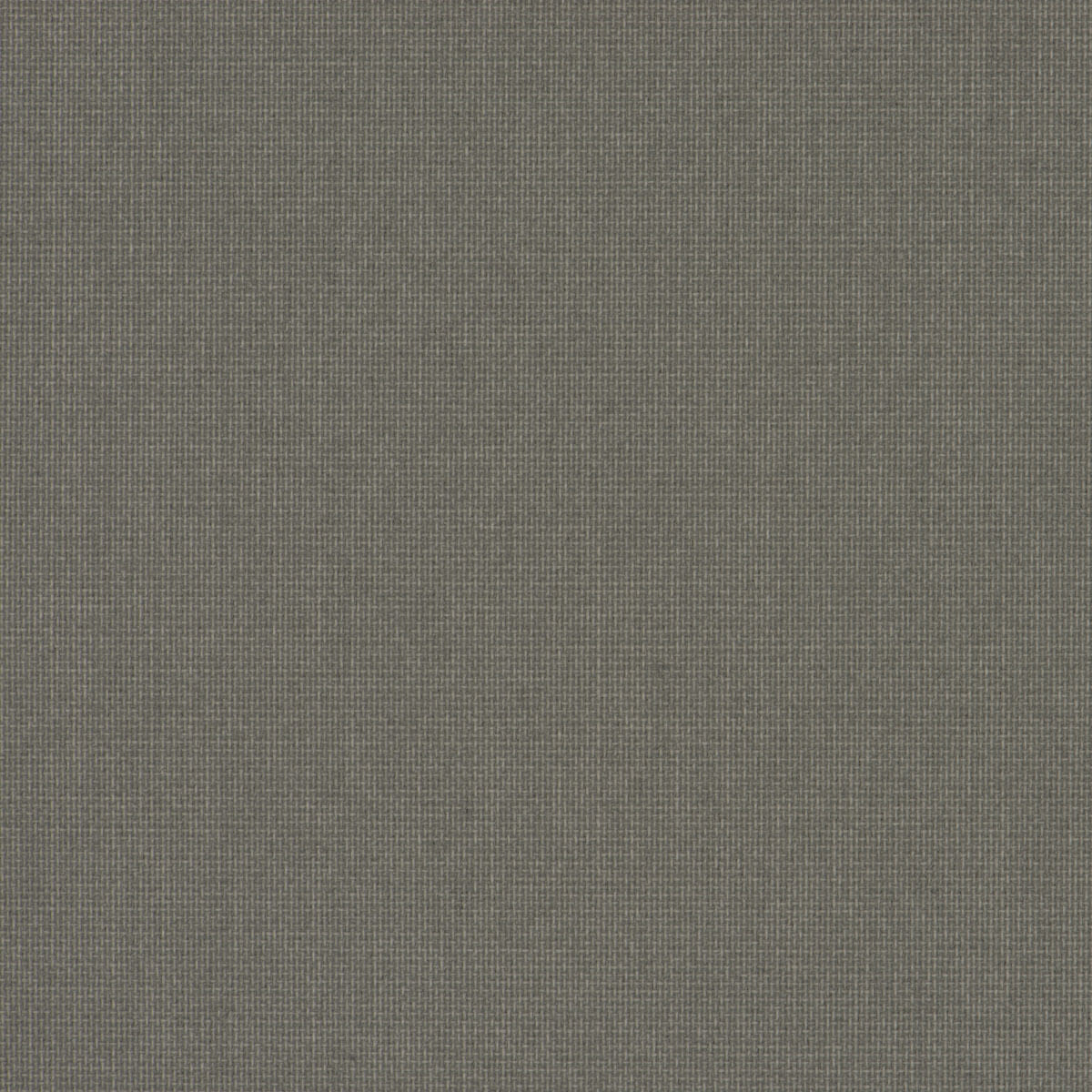 CARED / 206601 SZ/K/O / kolor l322 - obrazek 3