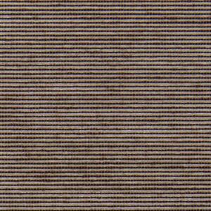 STRIPES / 206442 SZ/US /  kolor k6